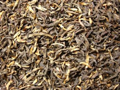 East Frisian Leaf Blend