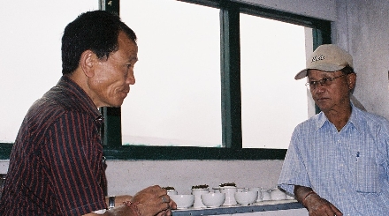 Tee-Züchtung
