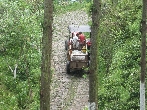 Transport zur Teefabrik Transport zur Teefabrik