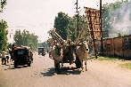 In Jaipur In Jaipur