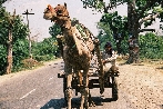 On the road On the road