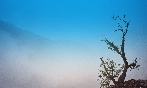 Dichter Nebel, Dichter Nebel,