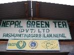 Teegärten in Nepal