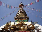 Teekultur in Nepal